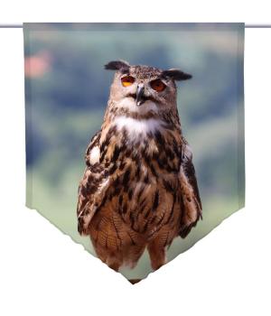 Obacht Scheibenhänger spitz